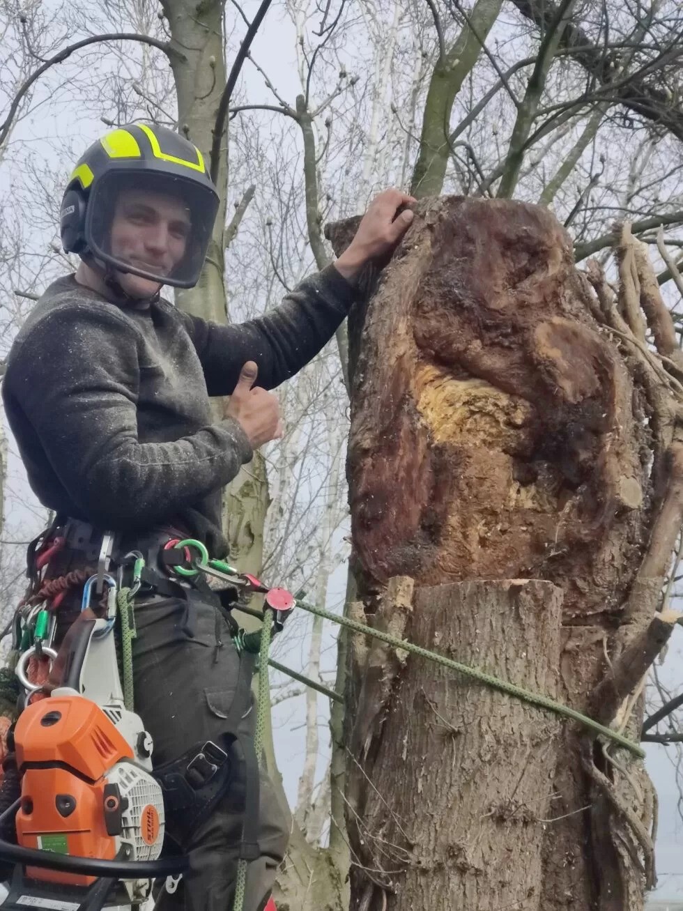 bramduimpjeomhoogmeteenboom